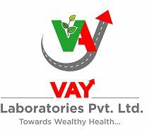 Vay Labs